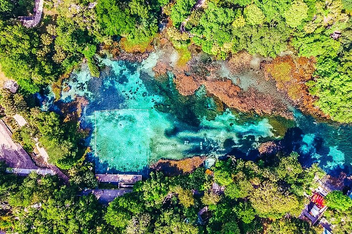 オーランド の Rainbow Springs: Clear Kayak & Snorkel Eco Tour | Pelago